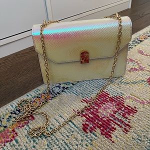ALDO iridescent purse with gold chain